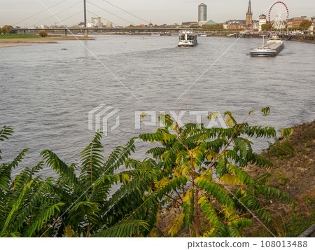 the city of Dusseldorf at the rhine river the city of Dusseldorf at the rhine river 108013488