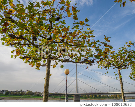 the city of Dusseldorf at the rhine river 108013683