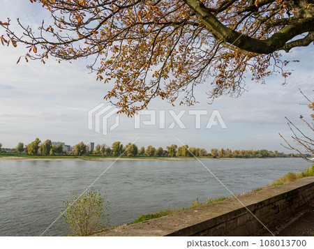 the city of Dusseldorf at the rhine river the city of Dusseldorf at the rhine river 108013700