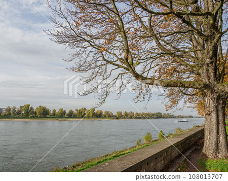the city of Dusseldorf at the rhine river the city of Dusseldorf at the rhine river 108013707