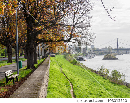 the city of Dusseldorf at the rhine river 108013720
