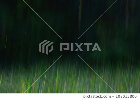 Weed image by ICM Weed image by ICM 108013806