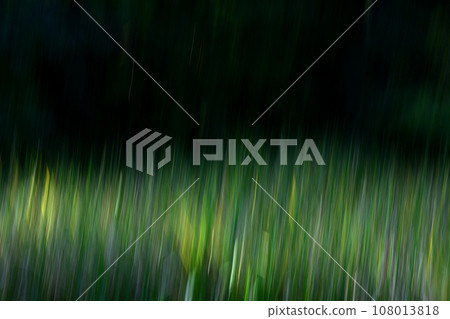 Weed image by ICM Weed image by ICM 108013818
