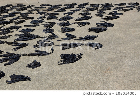 Kamishima dried kelp Mie Kamishima dried kelp Mie 108014003