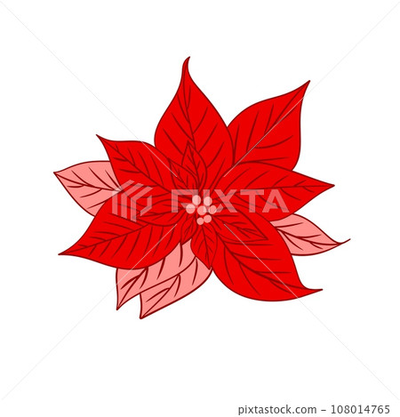 Hand drawn poinsettia Christmas star drawing sticker. Bright colorful winter holiday plant flower illustration, red pink petals, festive celebration party decor. 108014765