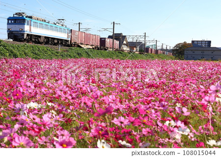 Cosmos 與 JR Freight EF81 450 型系列 108015044