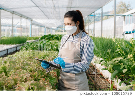 Farmer Plantation checking quality by tablet agriculture technology Concept. Smart farming, in agriculture. woman agronomist farmer with digital tablet Farmer Plantation checking quality by tablet agriculture technology Concept. Smart farming, in agriculture. woman agronomist farmer with digital tablet 108015789