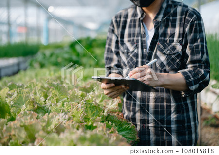 Farmer using digital tablet computer in field, technology application in agricultural growing activity. Smart farming . 108015818