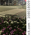 crosswalk and flowers 108018009
