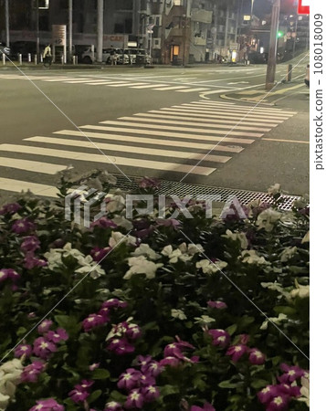行人穿越道和鮮花 行人穿越道和鮮花 108018009