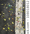 Fallen leaves and white lines 108018012