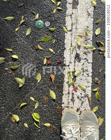 Fallen leaves and white lines Fallen leaves and white lines 108018012