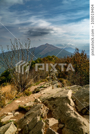 Polonina Wetlinska, Bieszczady mountain, Bieszczady National Park, Poland. Polonina Wetlinska, Bieszczady mountain, Bieszczady National Park, Poland. 108019404