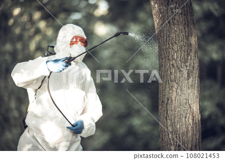A worker sprays pesticides on trees outdoors. Tree pest control 108021453