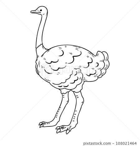 簡單可愛的鴕鳥手繪插畫(僅限線描) 簡單可愛的鴕鳥手繪插畫(僅限線描) 108021464
