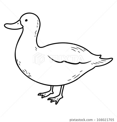 Simple and cute hand-drawn illustration of a white duck - line drawing only 108021705