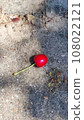 Cherry on the ground 108022121
