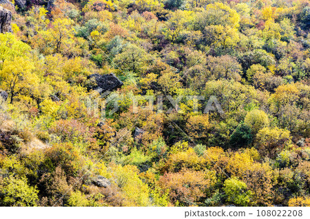 overgrown colorful walls of gorge in autumn overgrown colorful walls of gorge in autumn 108022208