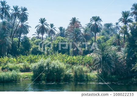Majestic Nile Shoreline: Forest from the Cruise Ship. Egypt Summer Travel Majestic Nile Shoreline: Forest from the Cruise Ship. Egypt Summer Travel 108022233
