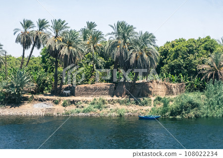 Egypt's Hidden Gem: Forest Views from Nile Cruise Egypt's Hidden Gem: Forest Views from Nile Cruise 108022234