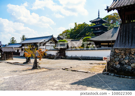 [Nara Prefecture] Taima-dera Temple, Katsuragi City (Photo taken on October 17, 2023) 108022300