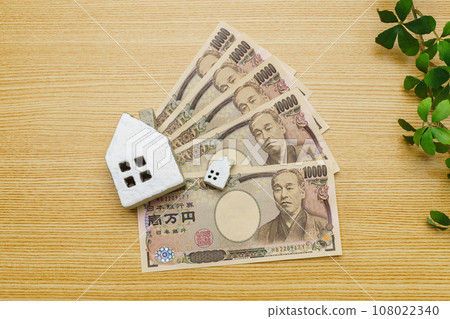 miniature house and money 108022340