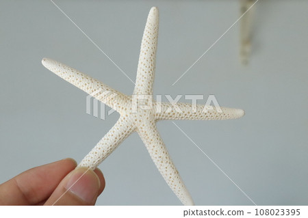 拿著海星的照片 拿著海星的照片 108023395