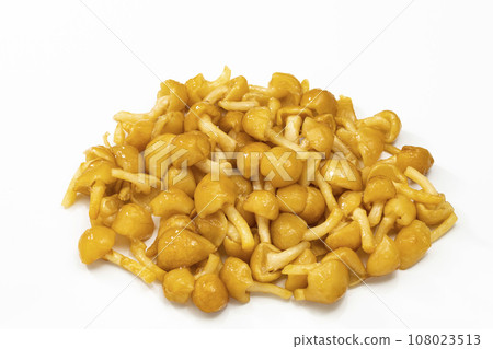 Nameko on white background Nameko on white background 108023513