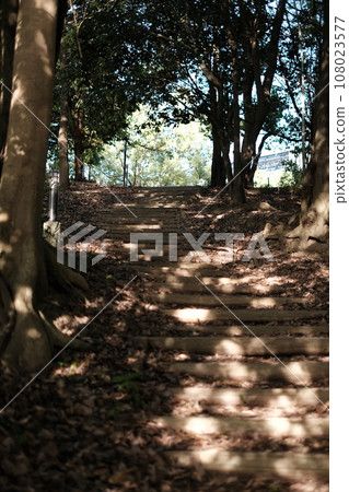 Path of fallen leaves Path of fallen leaves 108023577