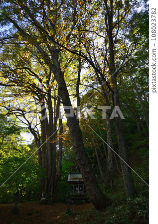 Kenkatsura Shrine, a power spot in Saigo Village, Nishishirakawa District, Fukushima Prefecture 108023782
