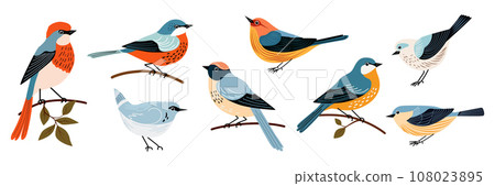 Set of decorative birds hand draw flat style 108023895