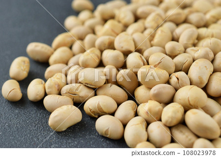 節分豆 節分豆 108023978