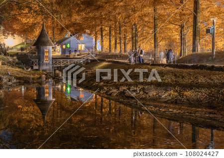 姆明谷之夜 108024427