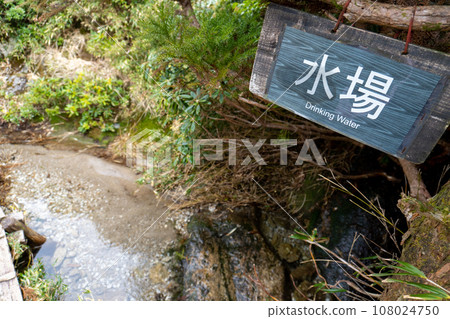 View from Mt. Kuromidake to Miyanoura in Yakushima 108024750