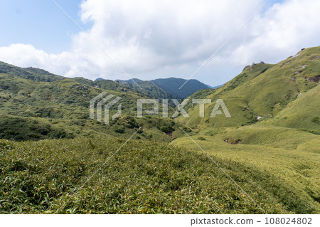View of Mt. Nagata from Mt. Miyanoura in Yakushima 108024802