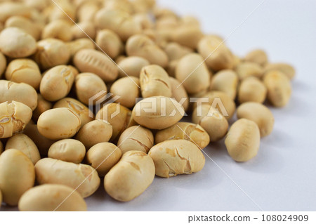 Setsubashi 108024909