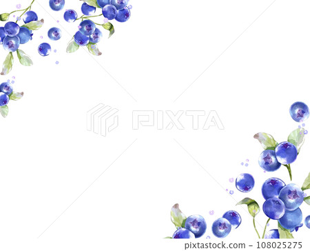 Blueberry watercolor background material 108025275