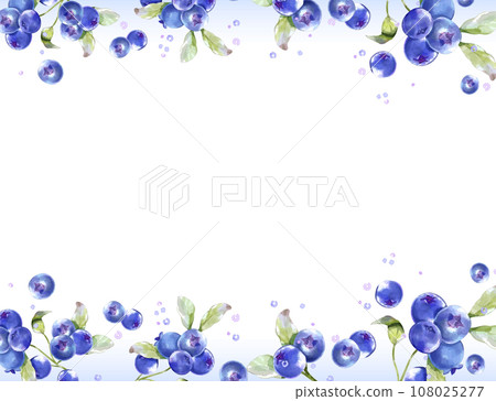 藍莓水彩背景素材 108025277