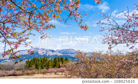 櫻花樹和阿蘇山倒映在美麗的春天的天空和雲彩中(複製空間素材)(南阿蘇櫻花公園/室外景觀)南阿蘇 櫻花樹和阿蘇山倒映在美麗的春天的天空和雲彩中(複製空間素材)(南阿蘇櫻花公園/室外景觀)南阿蘇 108025810