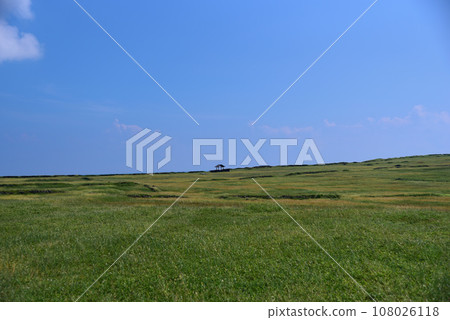 Taiwan Penghu grassland Taiwan Penghu grassland 108026118
