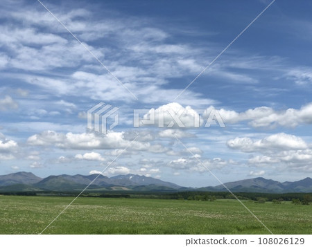 從草地看鄉村風景 108026129