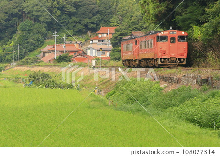 Summer Sanin Main Line Summer Sanin Main Line 108027314