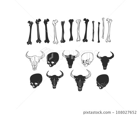 Hand drawn vector abstract graphic line art collection set of Human and animal skeleton, bone and skull,isolated on white background. Vector hand drawn sketch illustration.Halloween anatomy icons set. 108027652