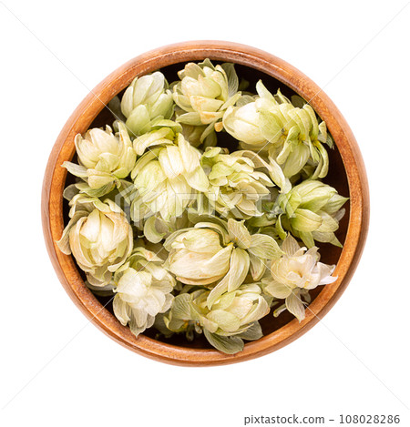 Hops, dried hop flowers in a wooden bowl. Humulus lupulus, member of the Cannabaceae family, used as a bittering, flavoring, and stability agent in beer, and as a herbal medicine. Macro food photo. 108028286