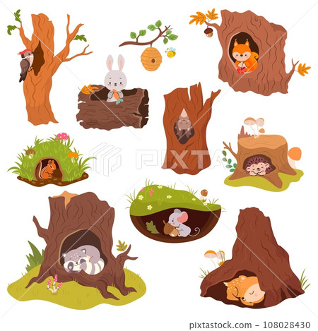 Animals sleep in holes. Cute cartoon animal in burrow. Funny squirrel, bat and bunny, red fox and little mouse. Woodland characters nowaday vector set 108028430
