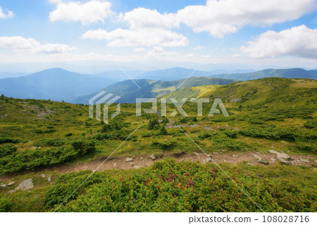path through the mountain hill. wonderful landscape of carpathian mountains in summer. travel ukraine. green scenery in dappled light. clouds on the blue sky 108028716
