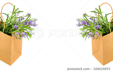 Bouquet of lavender flowers in paper bag isolated on white . Collage. Free space for text. Wide photo. 108029955