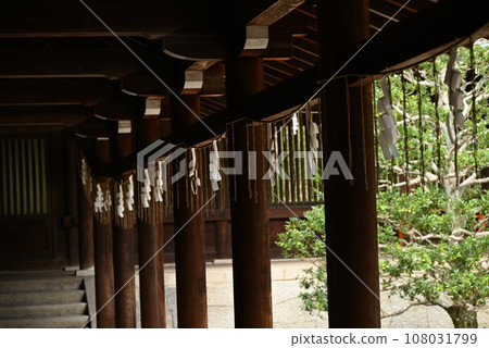 近江神社/天智天皇/花花福/競技卡留多大師賽皇后賽 近江神社/天智天皇/花花福/競技卡留多大師賽皇后賽 108031799