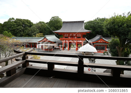 近江神社/天智天皇/花花福/競技卡留多大師賽皇后賽 108031865