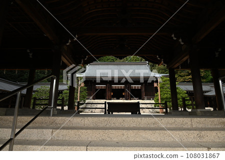 近江神社/天智天皇/花花福/競技卡留多大師賽皇后賽 108031867